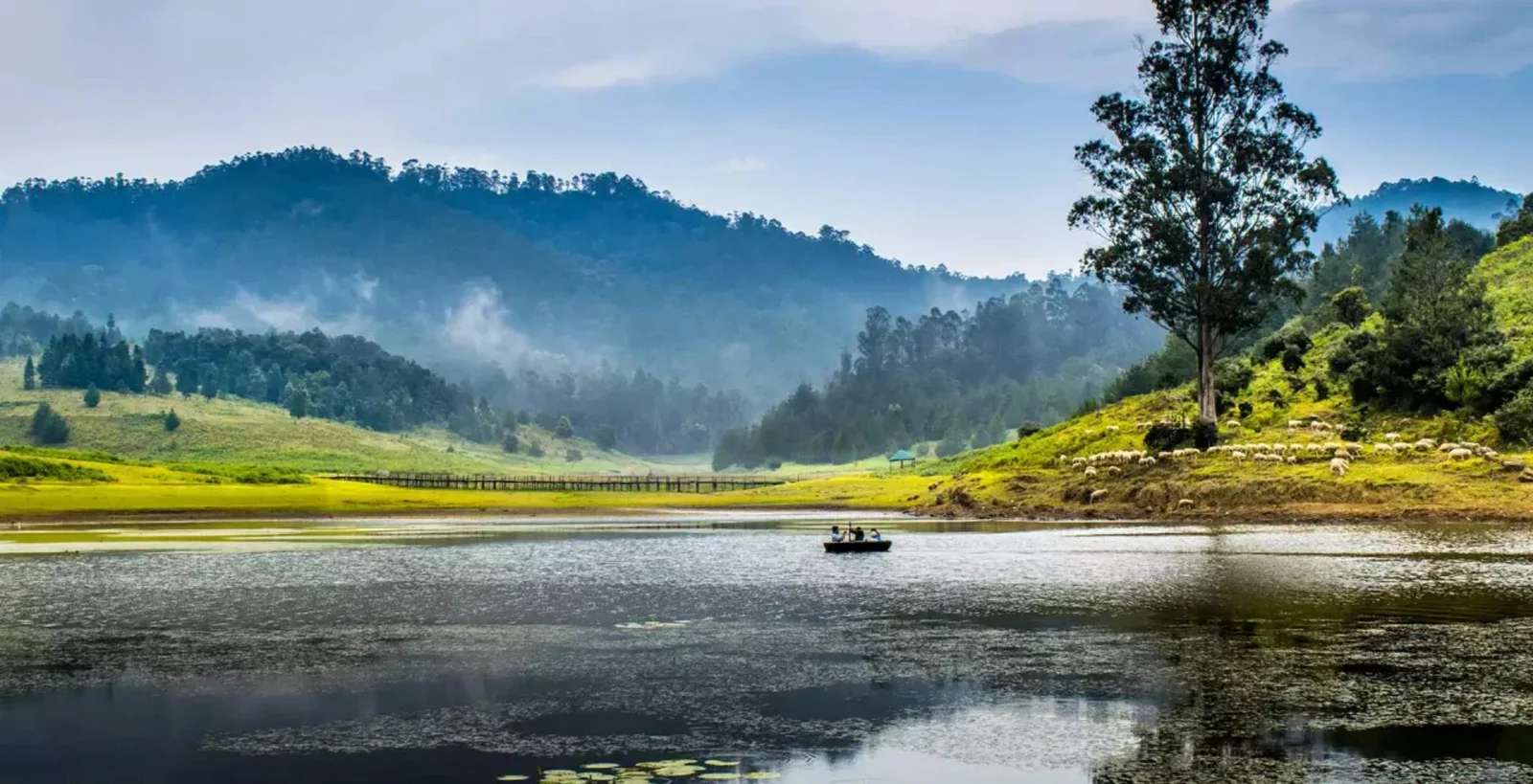 Urgent Property Sale  Kodaikanal